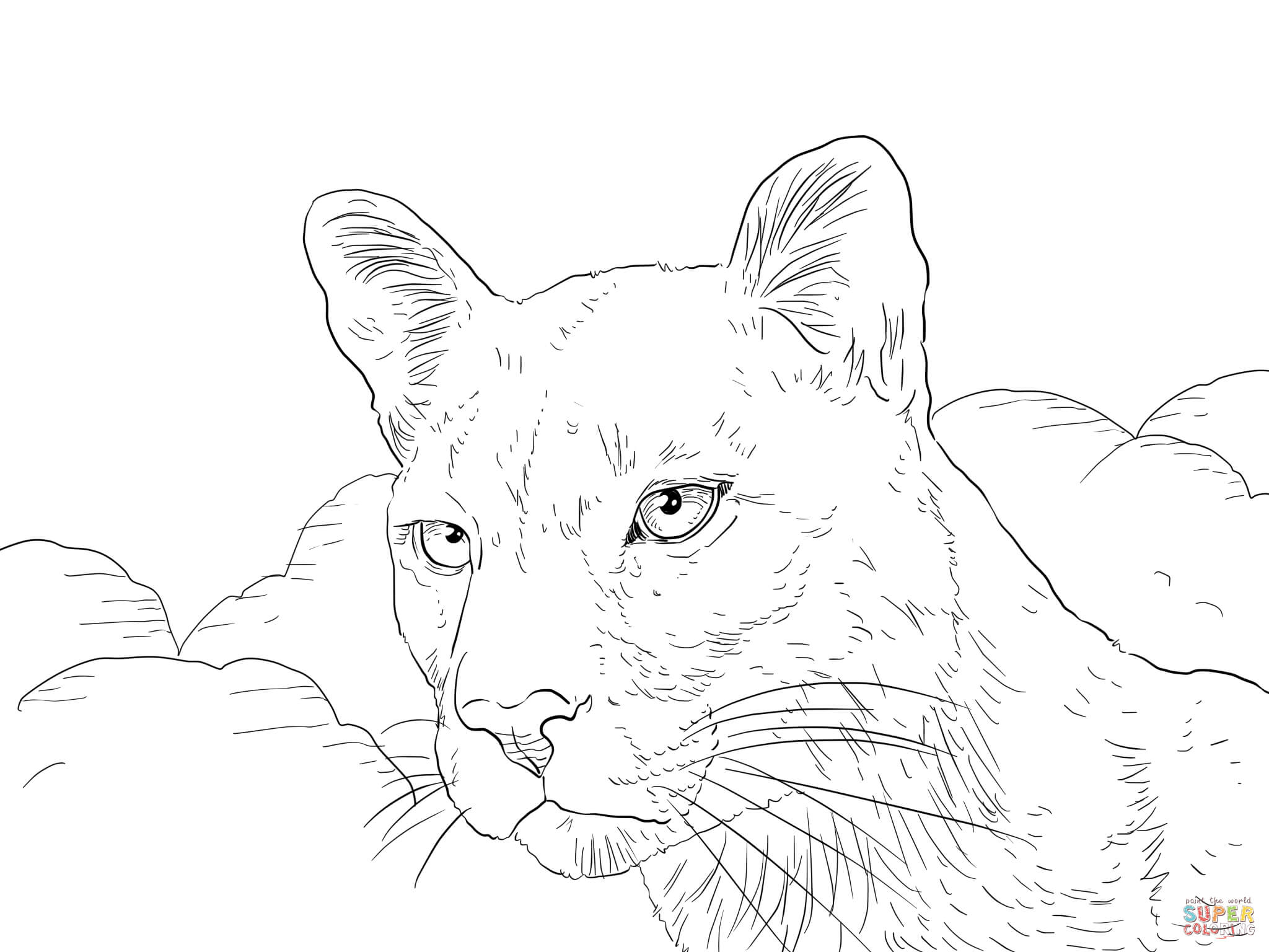 Free Florida Panthers Coloring Page, Download Free Clip Art, Free Clip Art  on Clipart Library