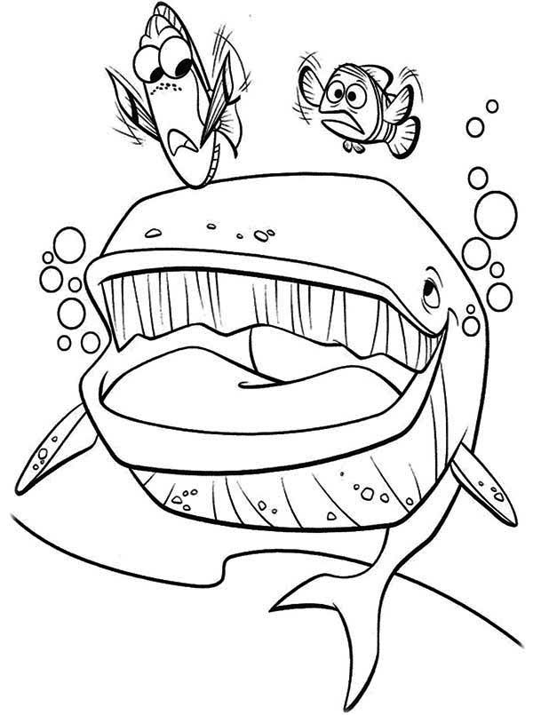 Dory and Marlin Meet the Whale in Finding Nemo Coloring Page ...