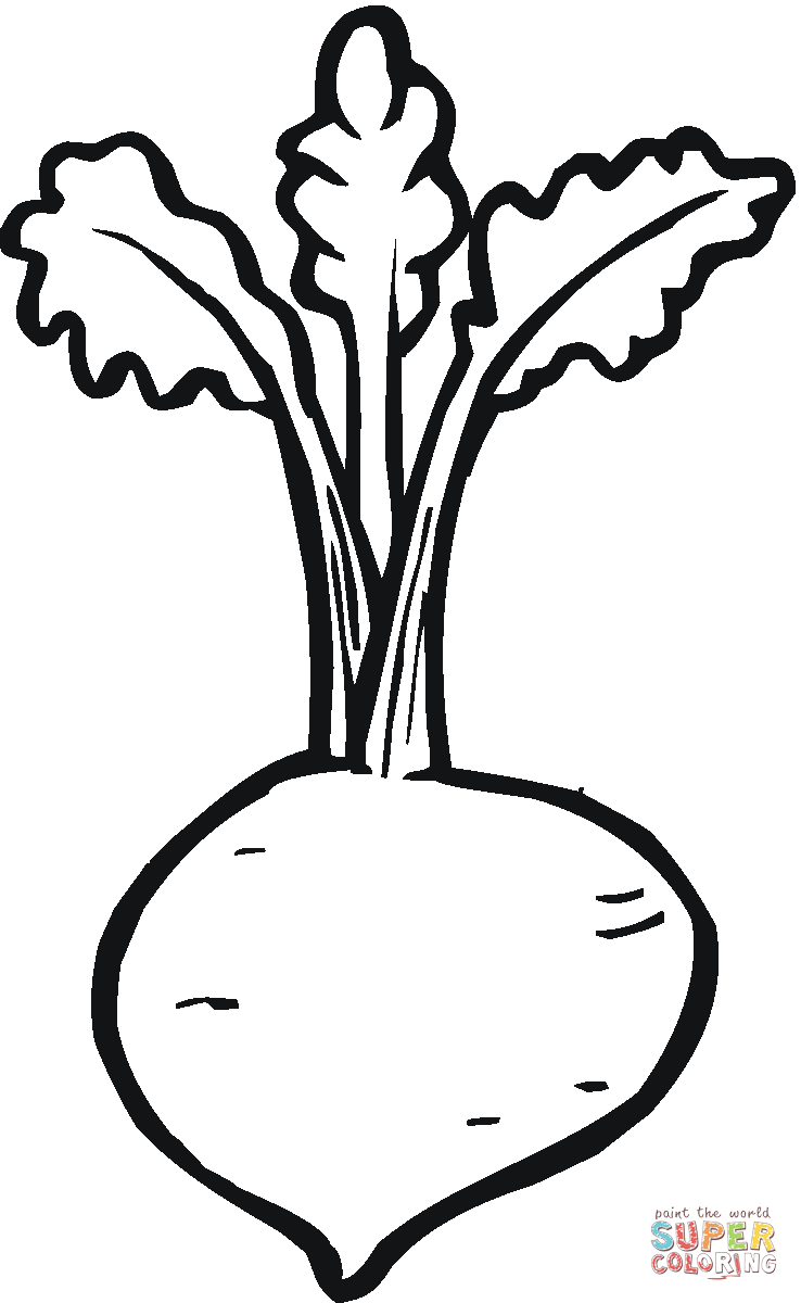 Beetroot 9 coloring page | Free Printable Coloring Pages