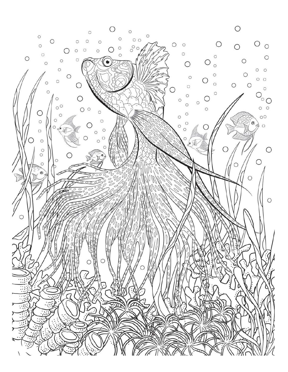 141 Best Underwater Coloring Pages images | Coloring pages, Adult ...