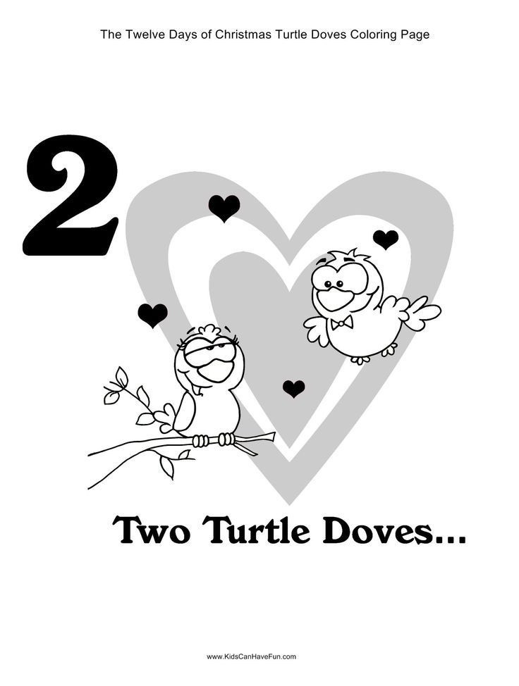 Turtle Doves Coloring Pages