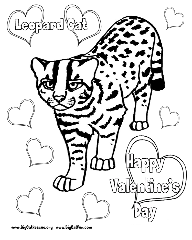 Anime Leopard Coloring Pages - Coloring Pages For All Ages