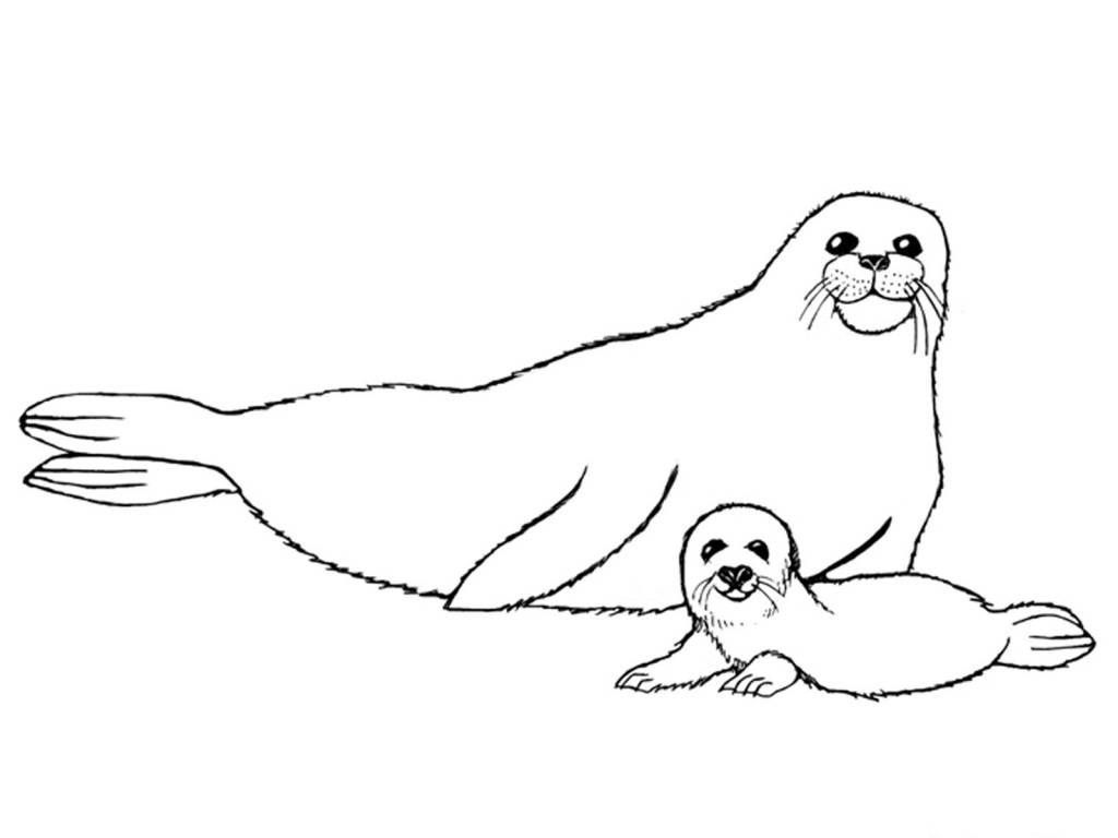 Free Coloring Pages Of Arctic Animals - Coloring Page