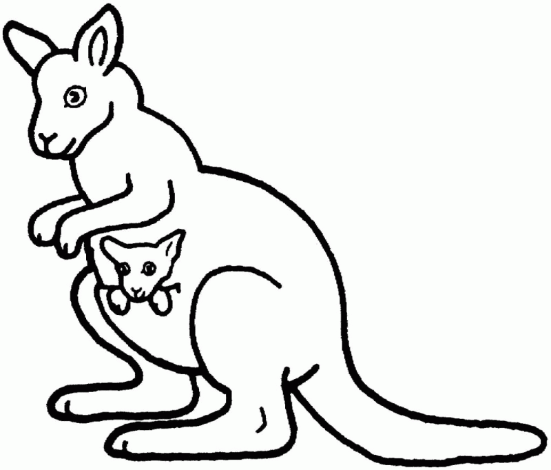 Kangaroo Coloring Picture Â» Coloring Pages Kids