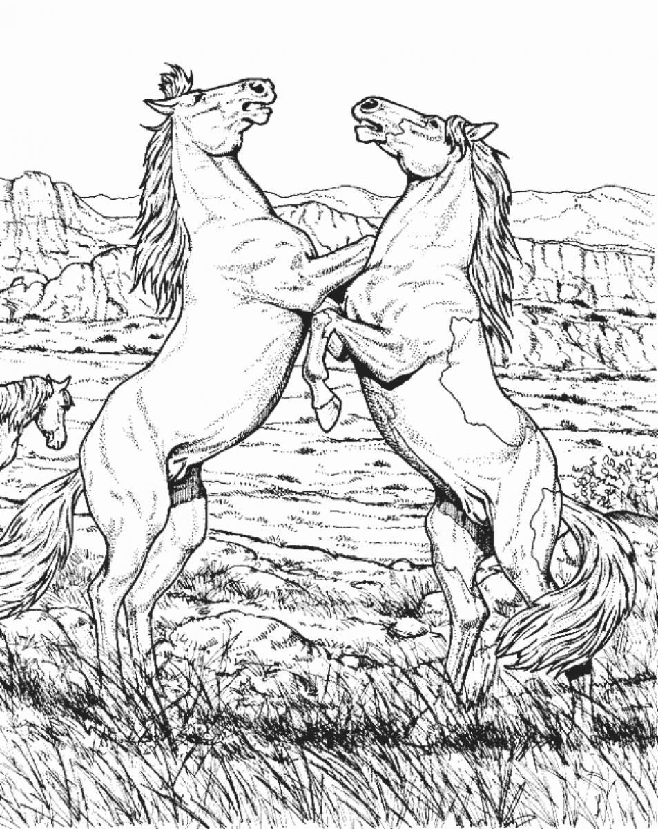 7 Pics of Hard Animal Coloring Pages - Cool Adult Coloring Pages ...