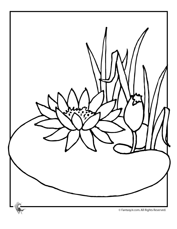 Free Lily Flower Coloring Pages, Download Free Clip Art ...