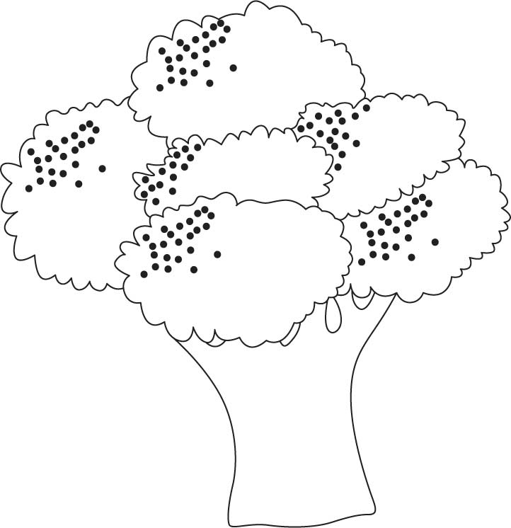 Growing broccoli coloring pages | Download Free Growing broccoli ...