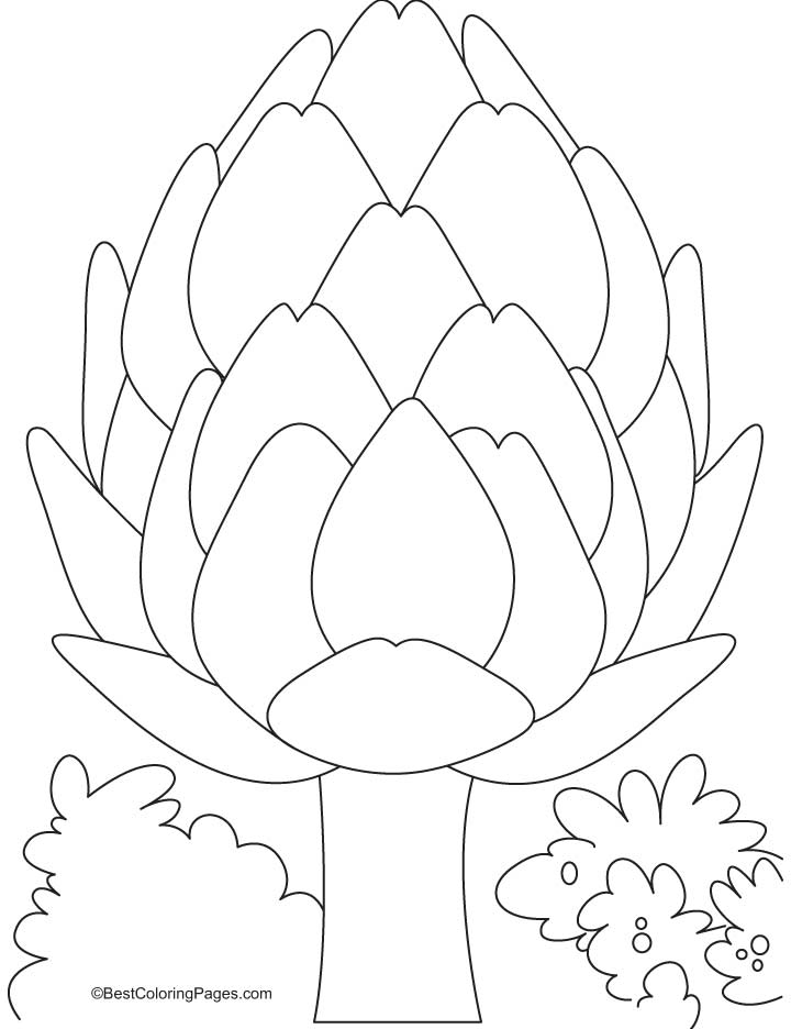 An artichoke coloring pages | Download Free An artichoke coloring ...