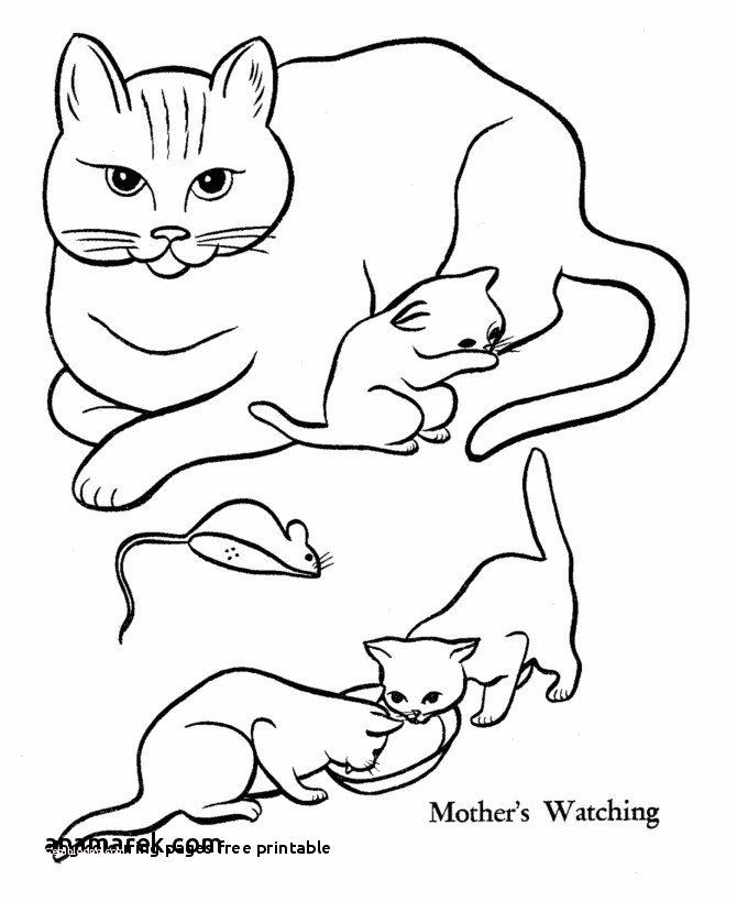 coloring pages : Free Cat Coloring Pages New Marvelous Coloring Pages Cat  Printable Picolour Free Cat Coloring Pages ~ peak