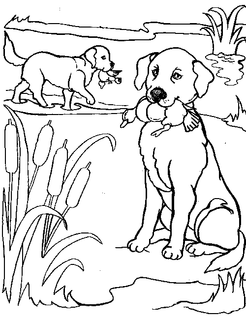 Animal ~ Printable Realistic Dog Coloring Pages ~ Coloring Tone