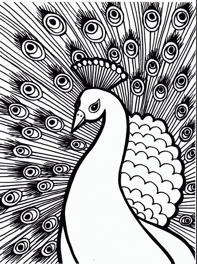 Coloring Pages Unbelievable Peacock Coloring Pages Picture Id