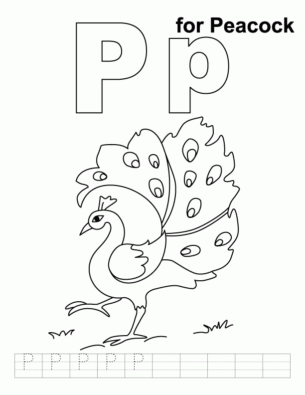 P for peacock coloring page with handwriting practice | Download