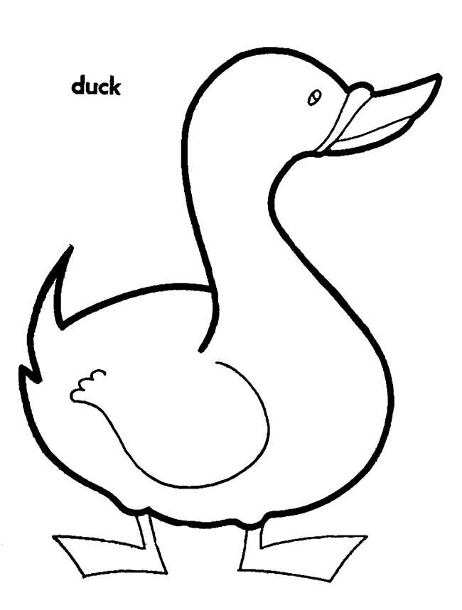 Duck Coloring Page : Printable Coloring Book Sheet Online for Kids