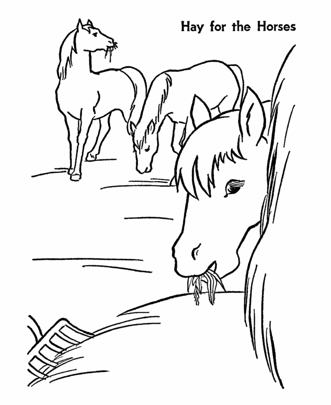 Horse Coloring Pages | Printable Hay is for horses Coloring Page