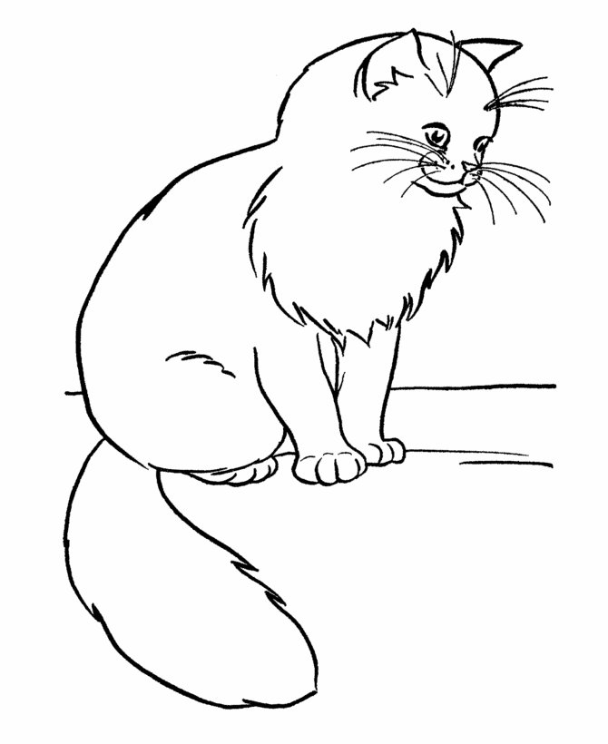 Cat Coloring Pages to print | Coloring Pages