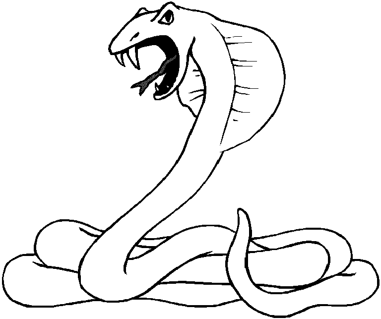 Snake Coloring Pages | Coloring Kids
