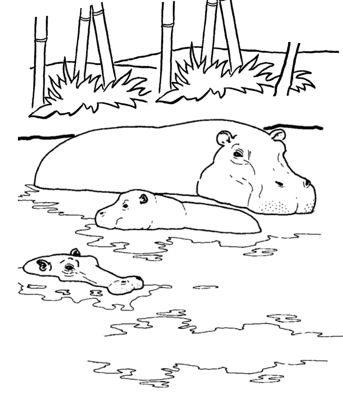 Wild Animal Coloring Pages | Hippopotamus Coloring Page, River