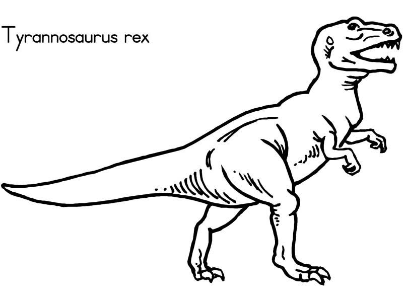 The Mighty Tyrannosaurus Rex in Dinosaur Coloring Page - Free