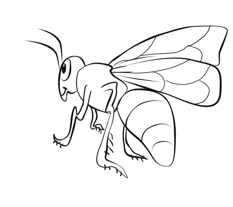 FREE Bee Coloring Picture 2