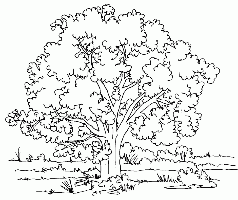 Preschool Fall Coloring Pages Childrens Coloring Books Coloring