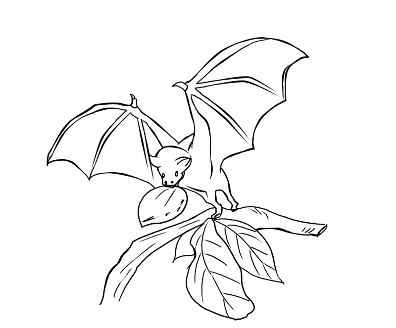 the bat Colouring Pages