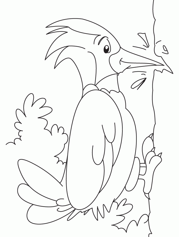 Great spotted woodpecker coloring pages | Download Free Great