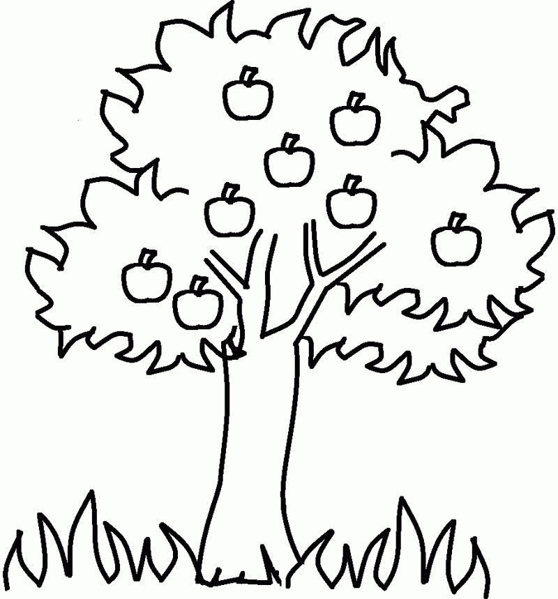 The Apple Tree Coloring Page : KidsyColoring | Free Online
