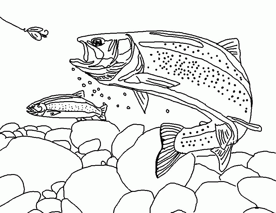 rainbow trout coloring page | coloring pages for kids, coloring
