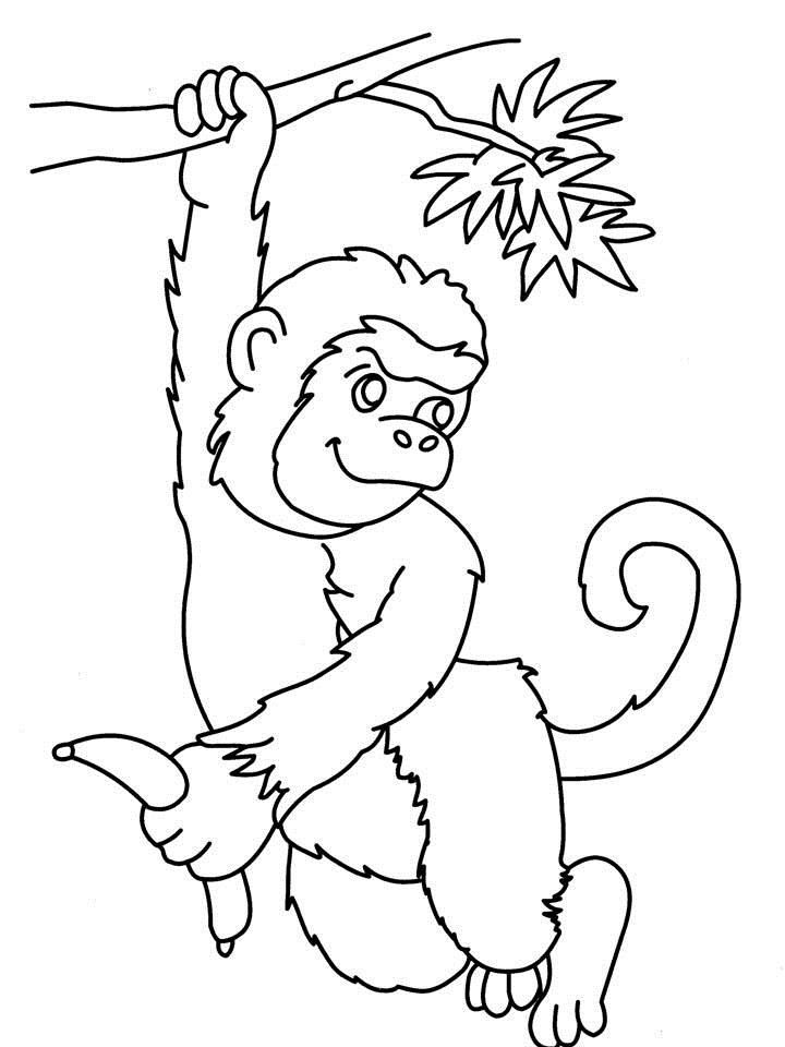 monkey coloring pages for kids | Coloring Picture HD For Kids