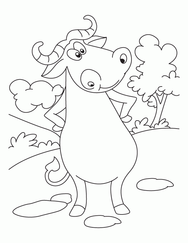 Dont dare bothering angry buffalo coloring pages | Download Free