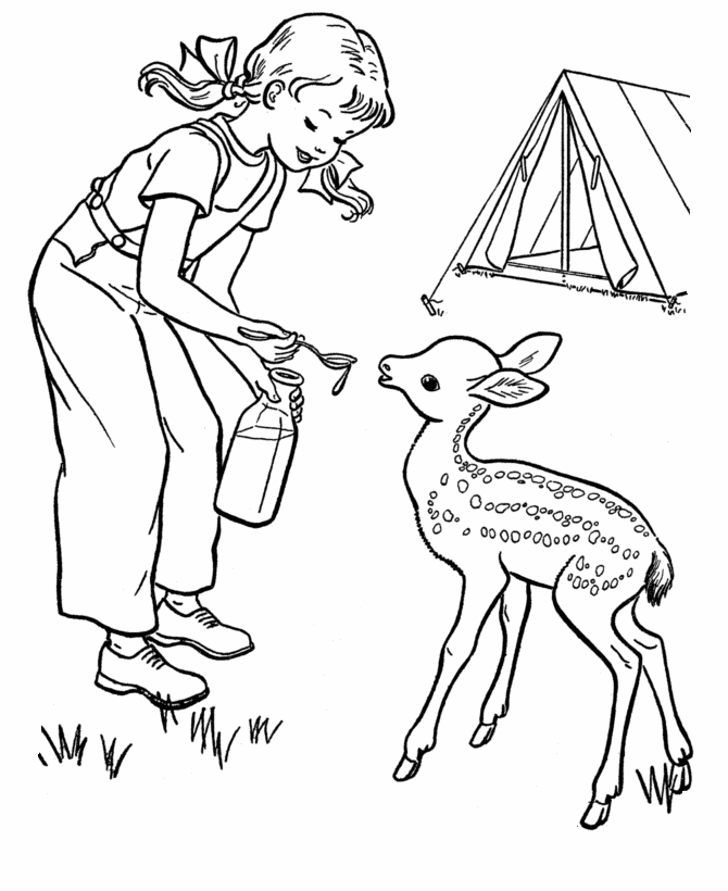 Bluebonkers Free Printable Family Camping Coloring Sheets: Baby Deer