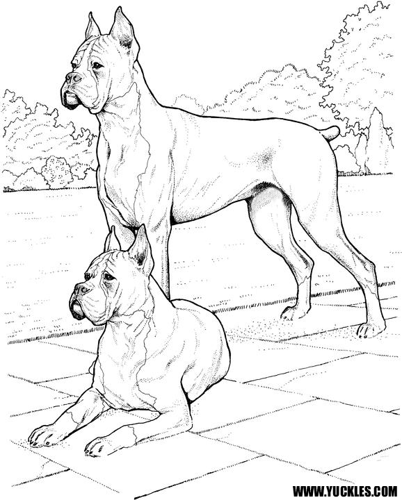Dog Coloring Pages by YUCKLES!