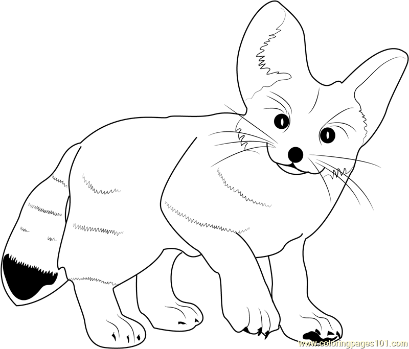Fox Coloring Pages - Printable Coloring Pages of Foxes