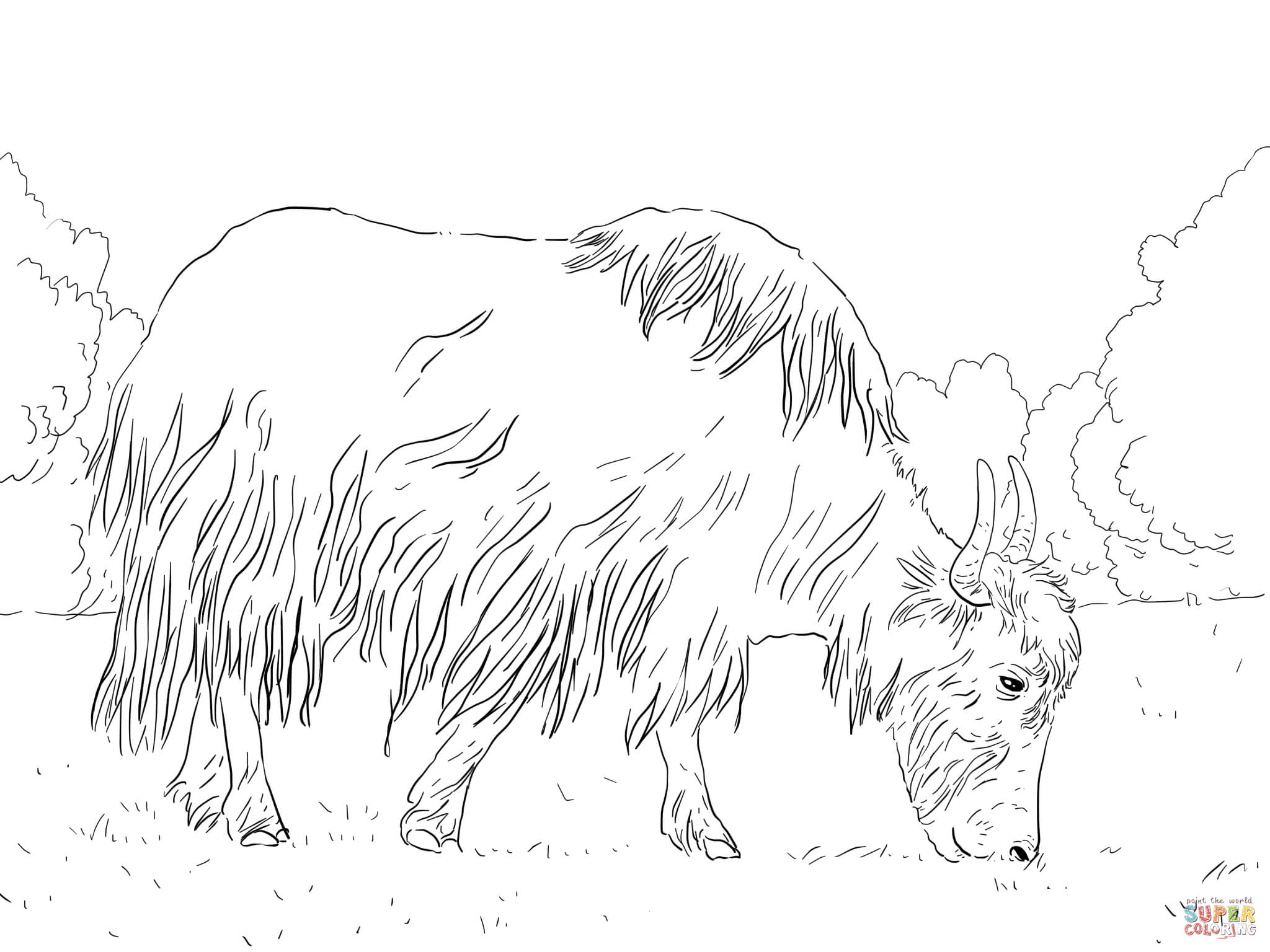 Yak coloring pages | Free Coloring Pages