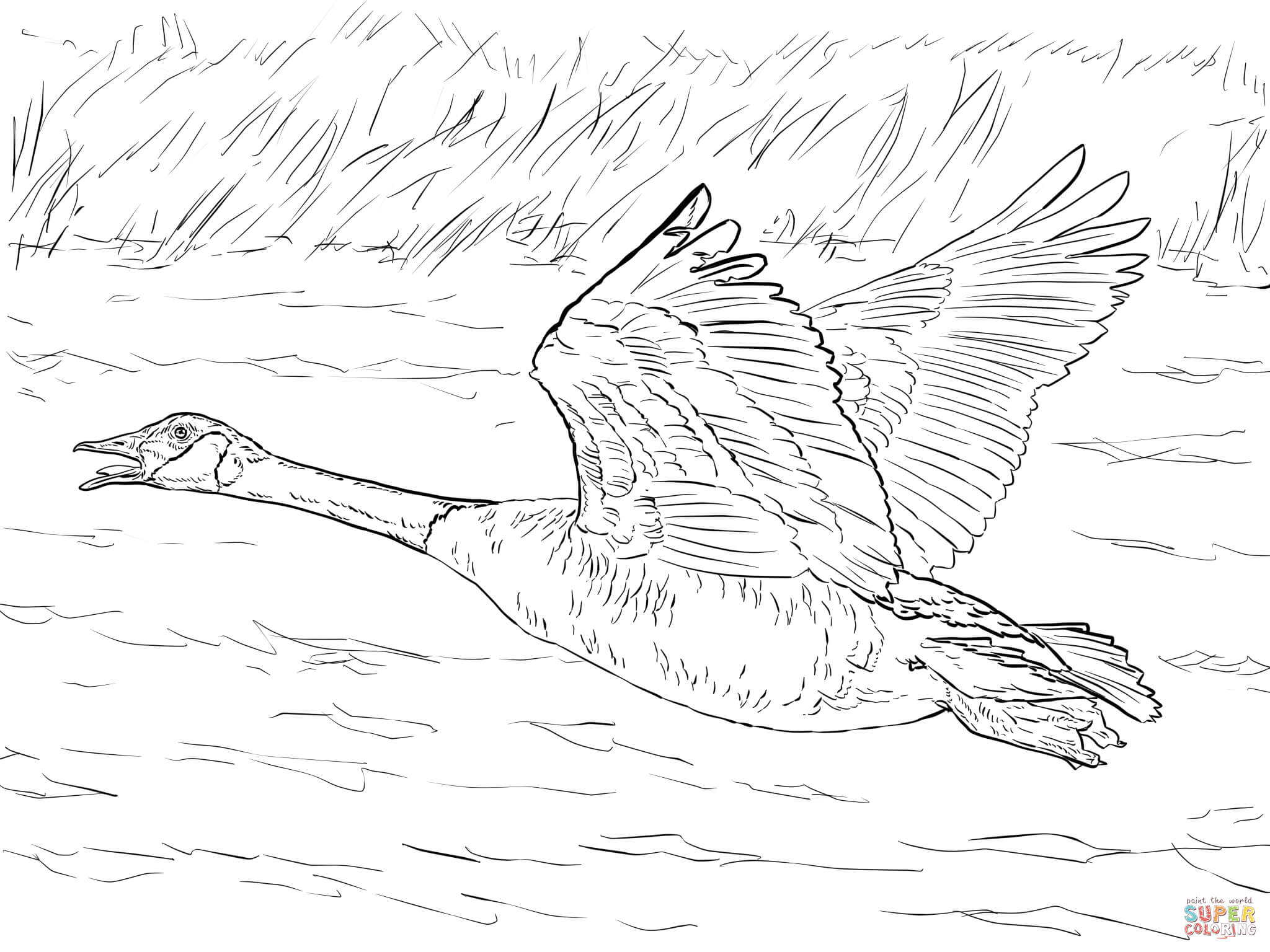 Goose coloring pages | Free Coloring Pages