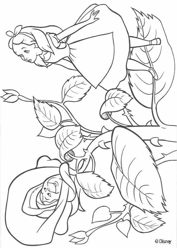 Coloring pages alice in wonderland - More information