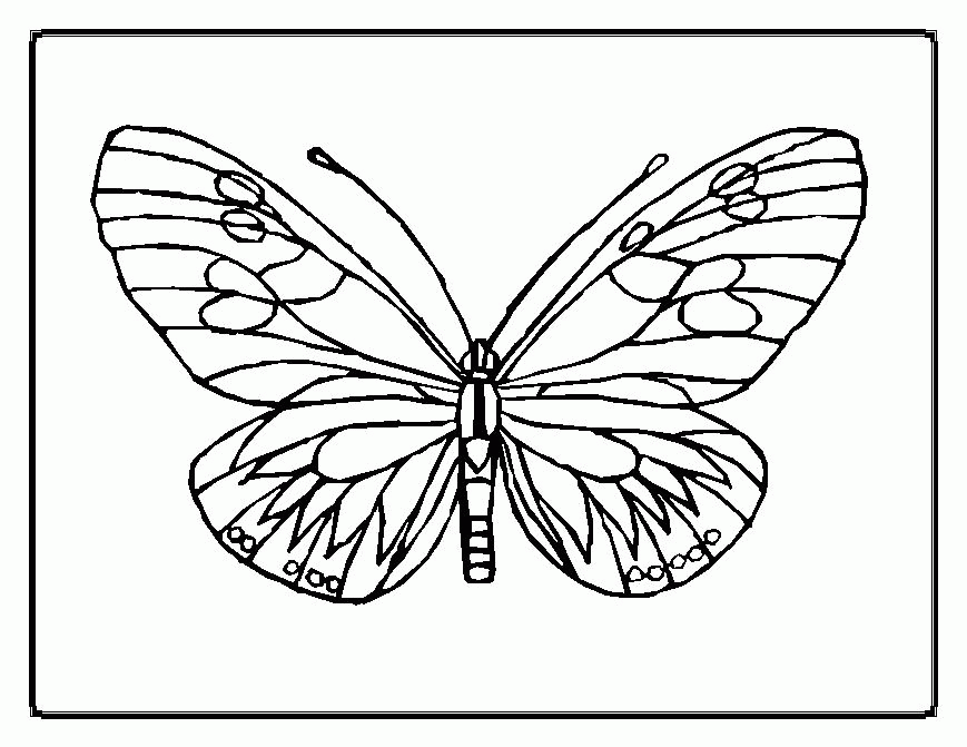 Cute And Beauty Butterfly Coloring Sheet | Hagio Graphic