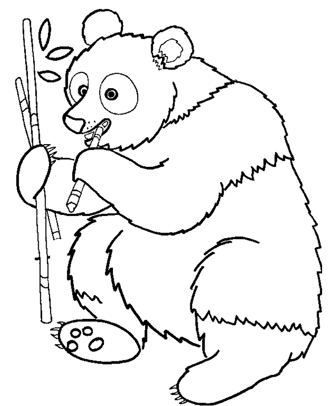 Wild Animal Coloring Page Panda Bear Eating Bamboo