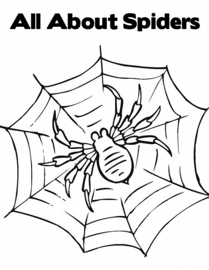 Spider Body Coloring Page | 99coloring.com