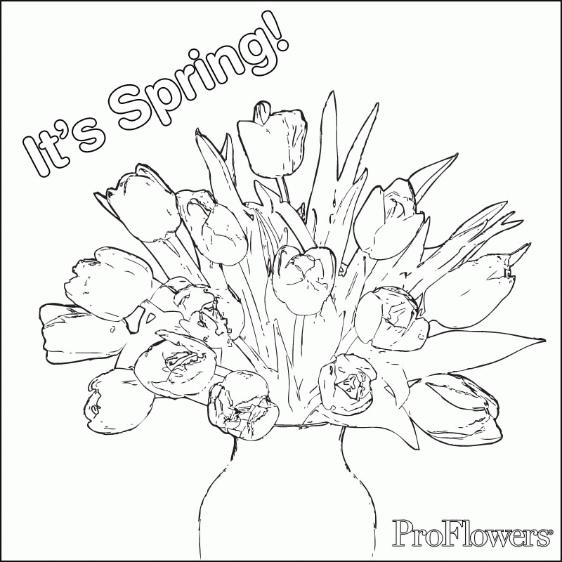 Tulip-coloring-12 | Free Coloring Page Site
