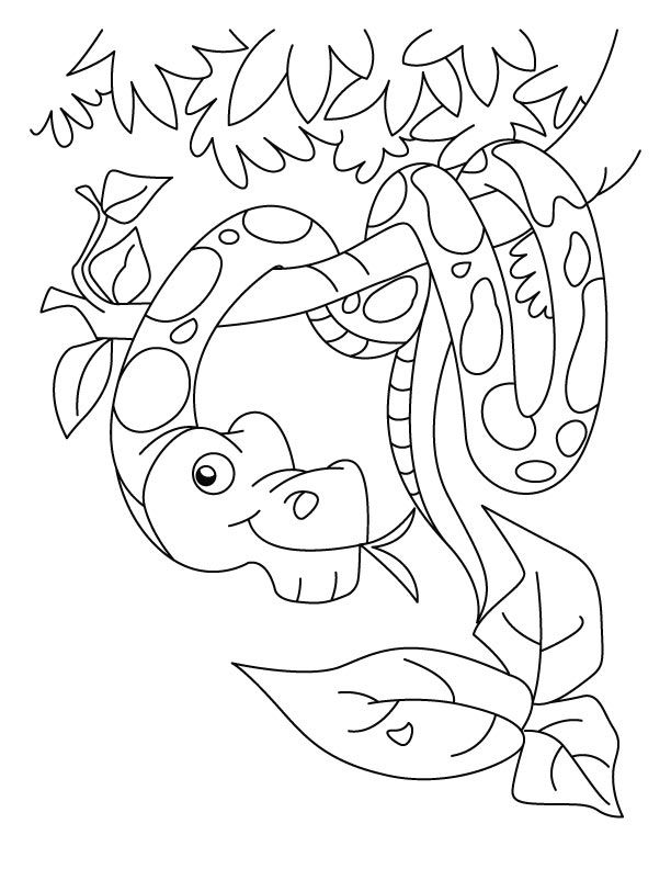 New year snake coloring pages | Download Free New year snake