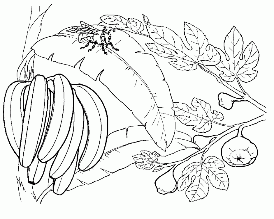 Pingu Coloring Pages 13 Gif 62532 Tale Of Despereaux Coloring Pages