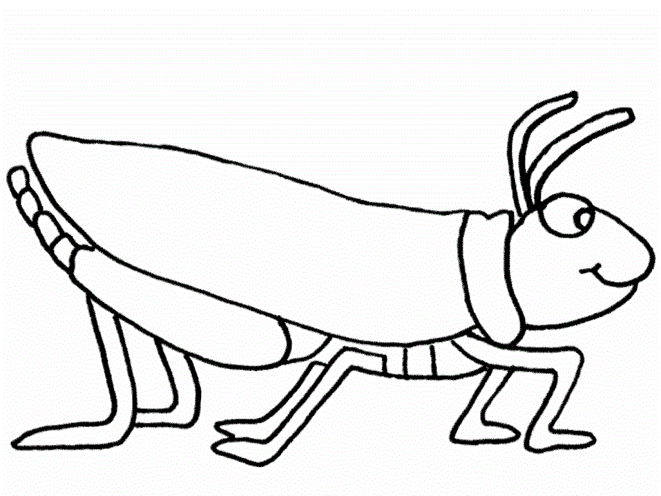 Cute Bug Coloring Pages