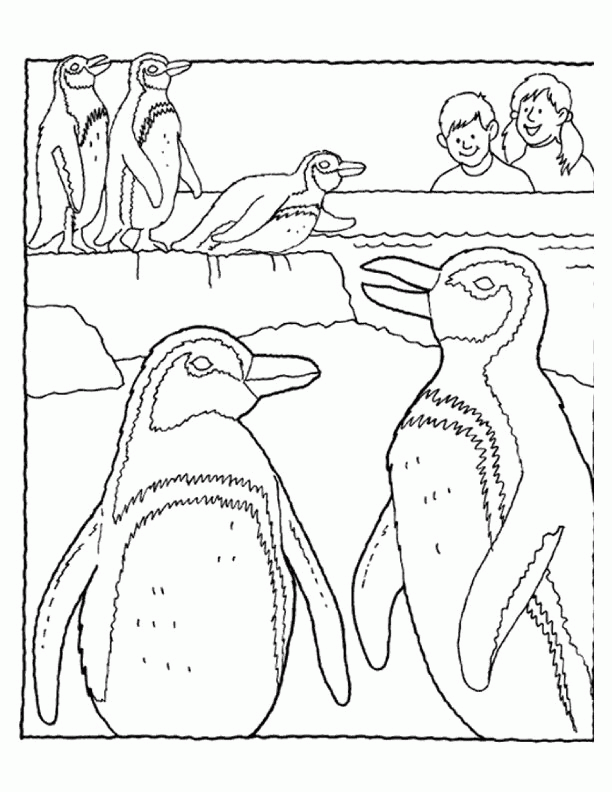 Two Penguin Coloring Page - Penguin Coloring Pages : Coloring