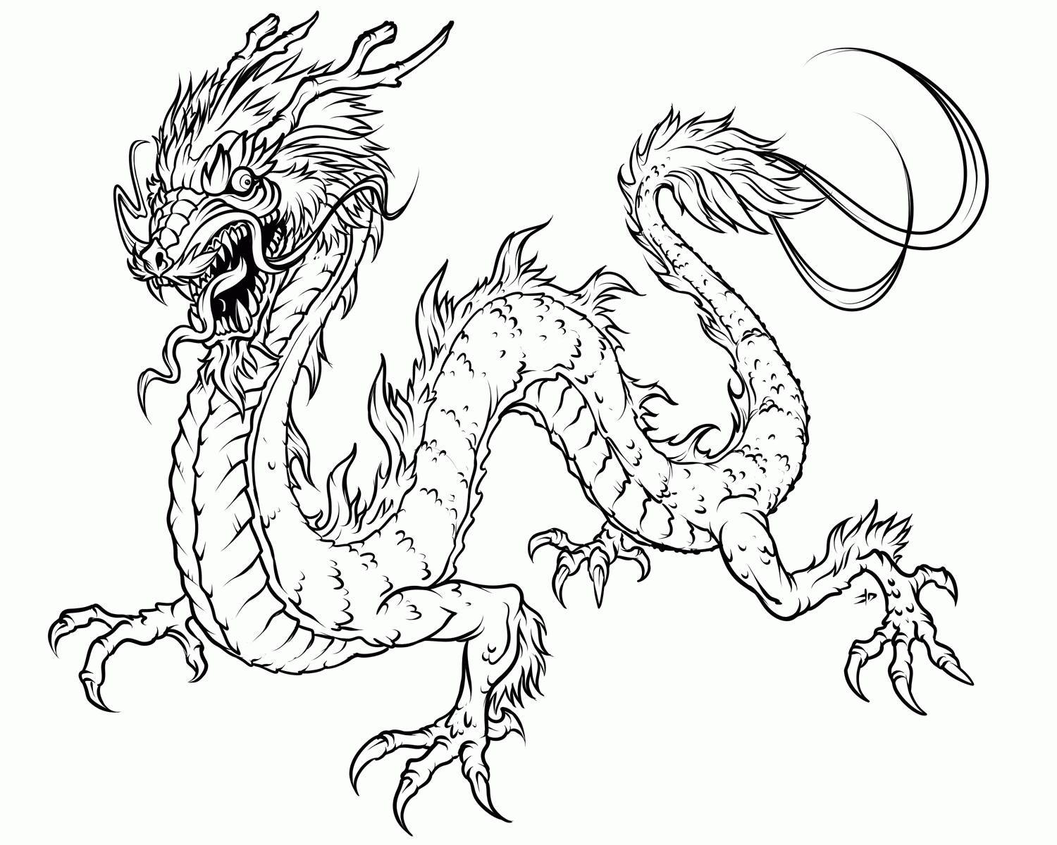 Dragon Coloring Pages For Adults (18 Pictures) - Colorine.net | 10875