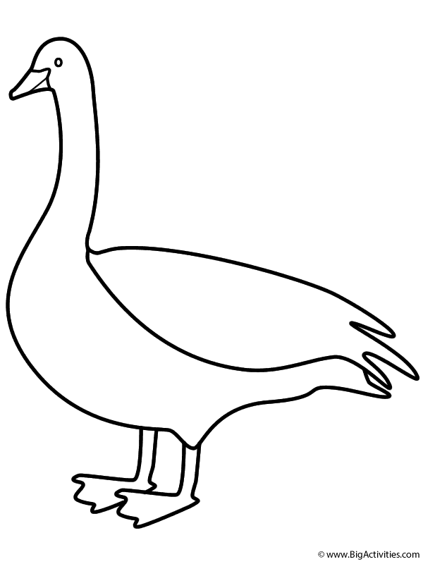 Goose - Coloring Page (Birds)
