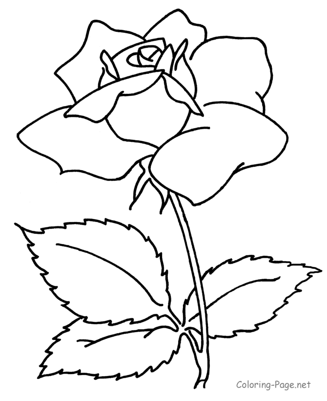 Mothers Day Coloring Pages Roses