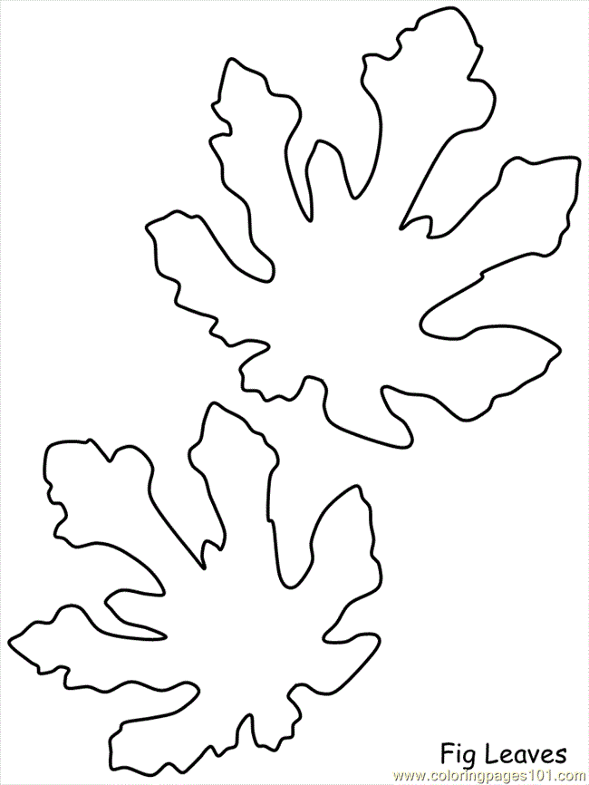 Coloring Pages Coloring Fig Leaves (Natural World > Trees) - free