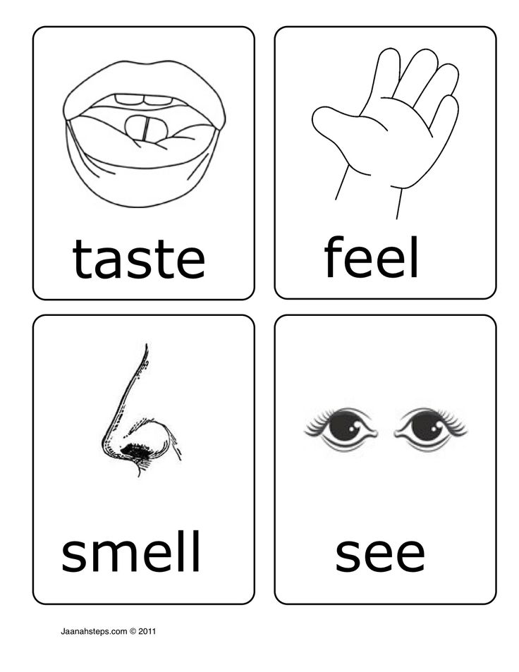 5 Senses | 5 Senses Preschool, 5 Senses Activities ...