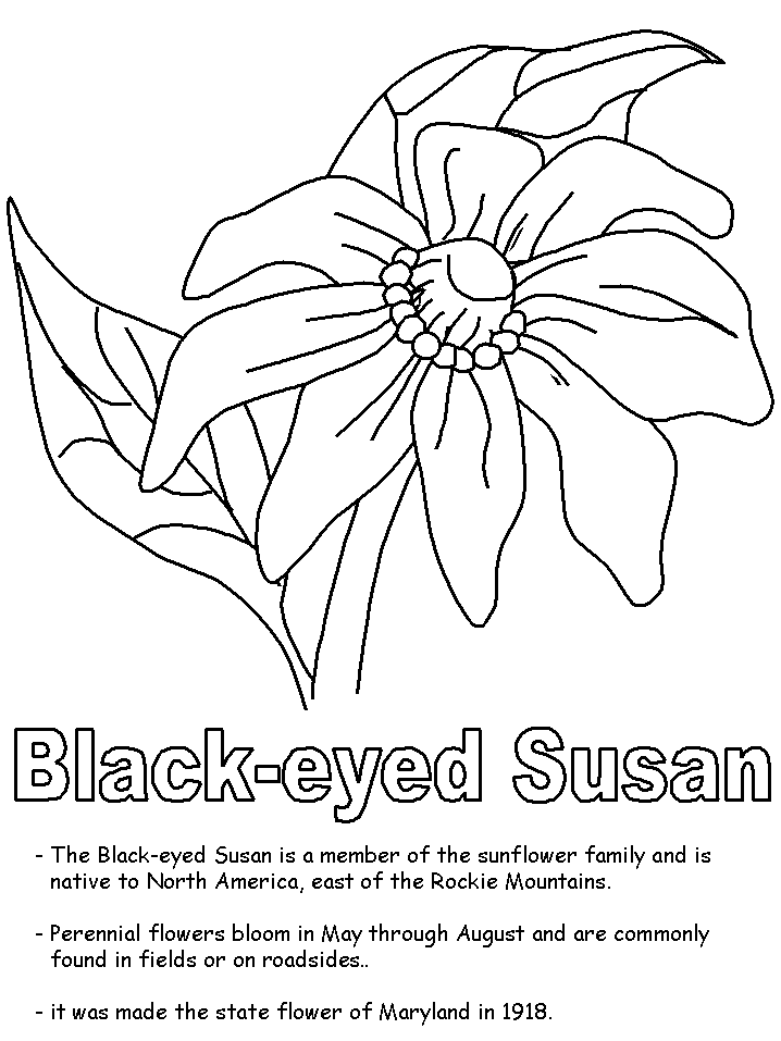 Black-eyed Susan coloring page